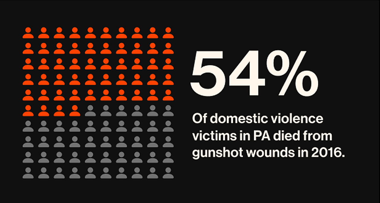 i-54percent-domestic-ps 54% of domestic violence victims die from gunshot wounds in 2016