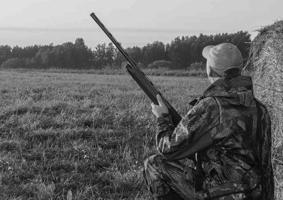 man with a shotgun and decoy ducks hunting at sunrise