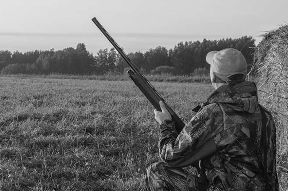 man with a shotgun and decoy ducks hunting at sunrise